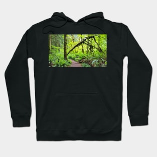 Squak Mountain State Park Hoodie